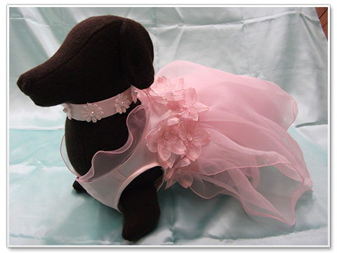 ���������p�h���X�B